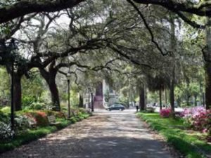 My beautiful home town, Savannah, Georgia